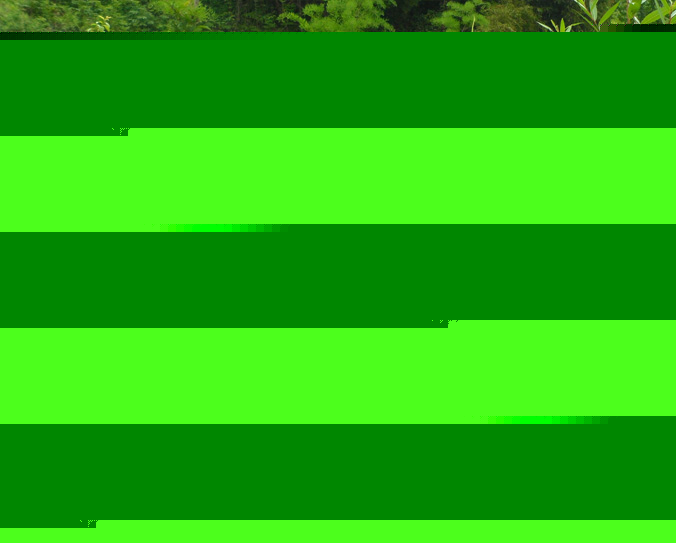 55.jpg