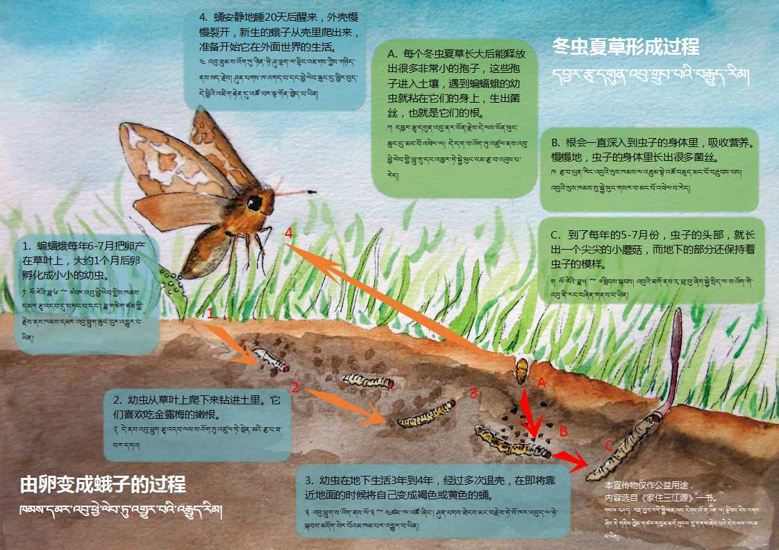 富群自然资源可持续利用宣传册.jpg