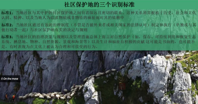 图五.png
