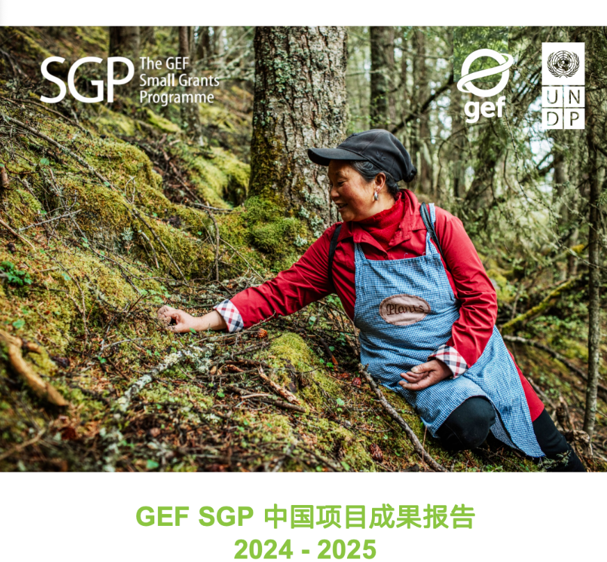 屏幕截图 2025-12-26 122018.png