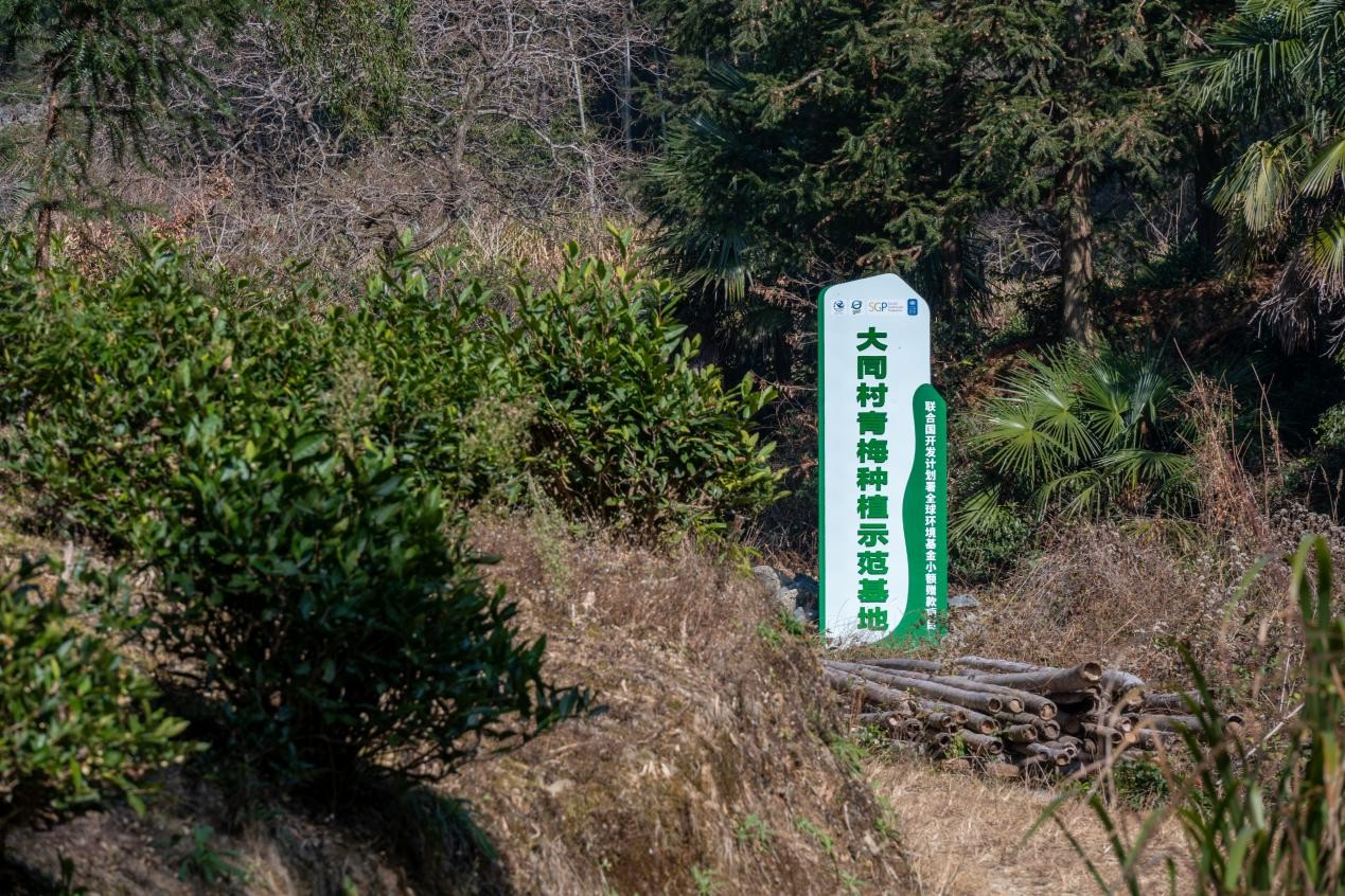 1769484440306944.jpg 图片4.jpg