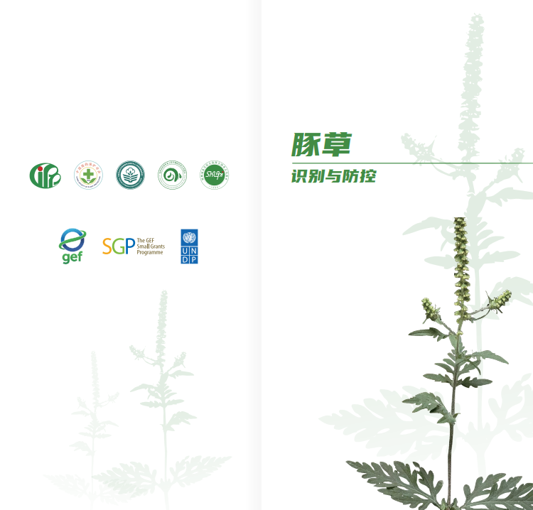 屏幕截图 2026-06-28 102747.png