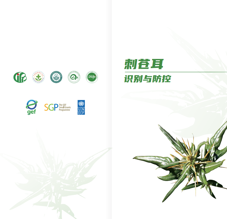 1782615385117620.png 屏幕截图 2026-06-28 102736.png